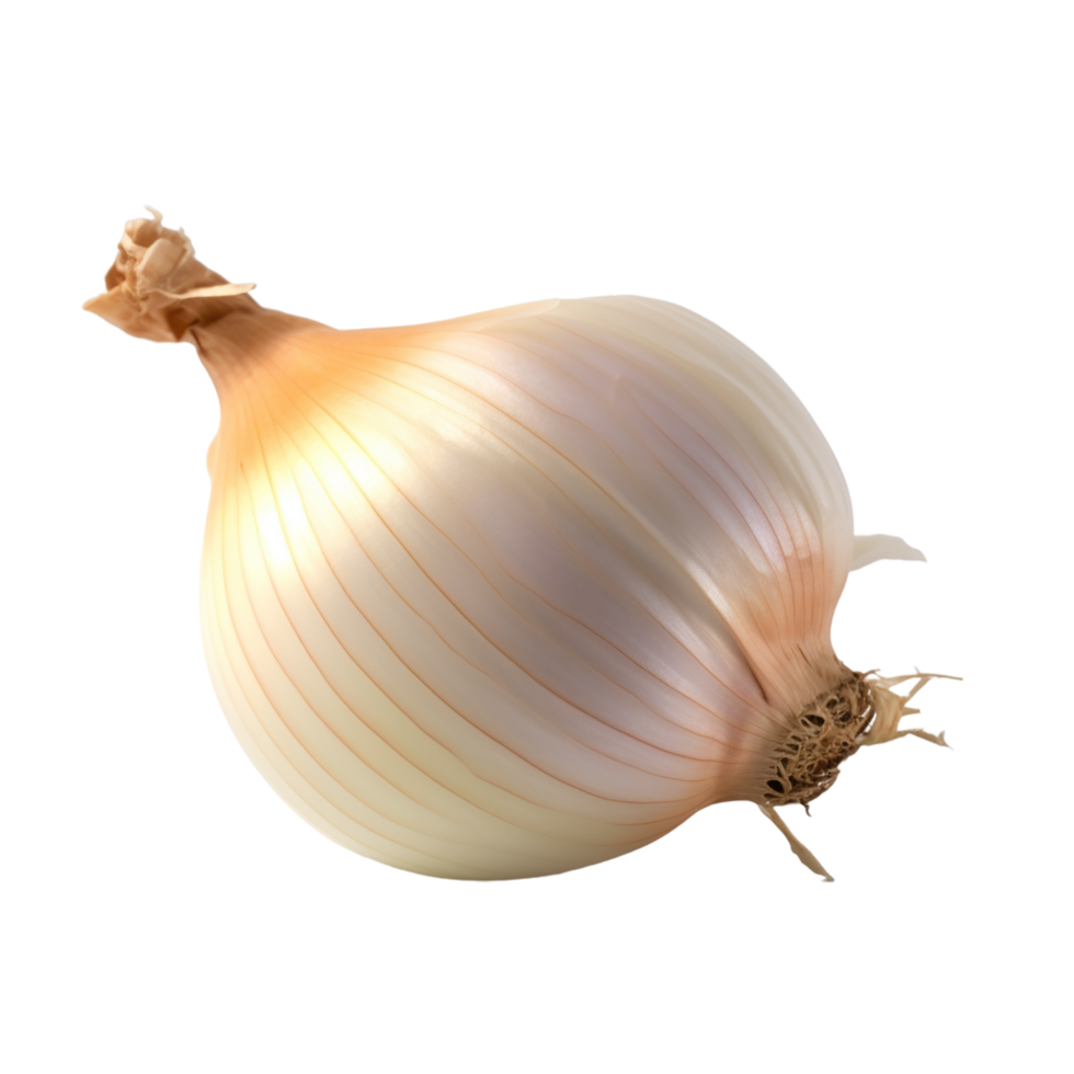 Onion, Onion Png, Onion With Transparent Background, AI Generative