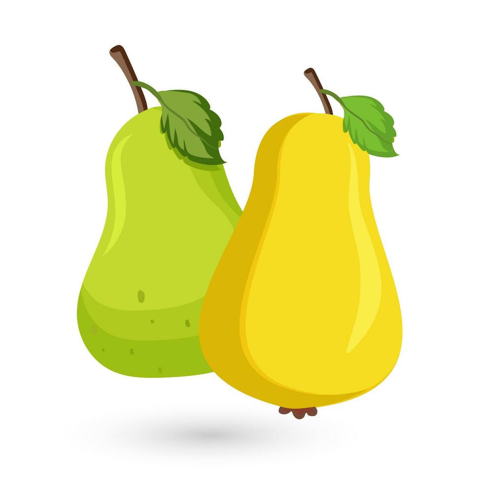 Two pear fruits on Isolated BG. green and yellow pear fruits on white background, Sweet pear Organic healthy fruits, vector illustration