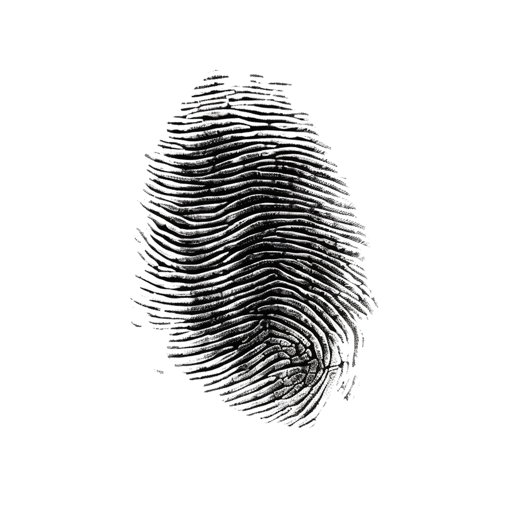 Fingerprint Fingerprint Png Fingerprint Sign Fingerprint Icon Png Fingerprint Fingerprint Png Fingerprint Sign Fingerprint Icon Png