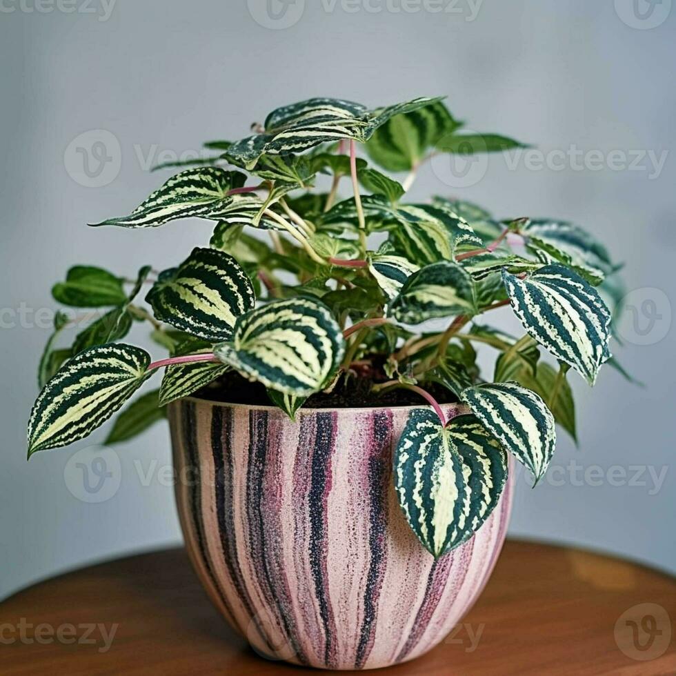 green plant in the pot on table. generative ai. photo