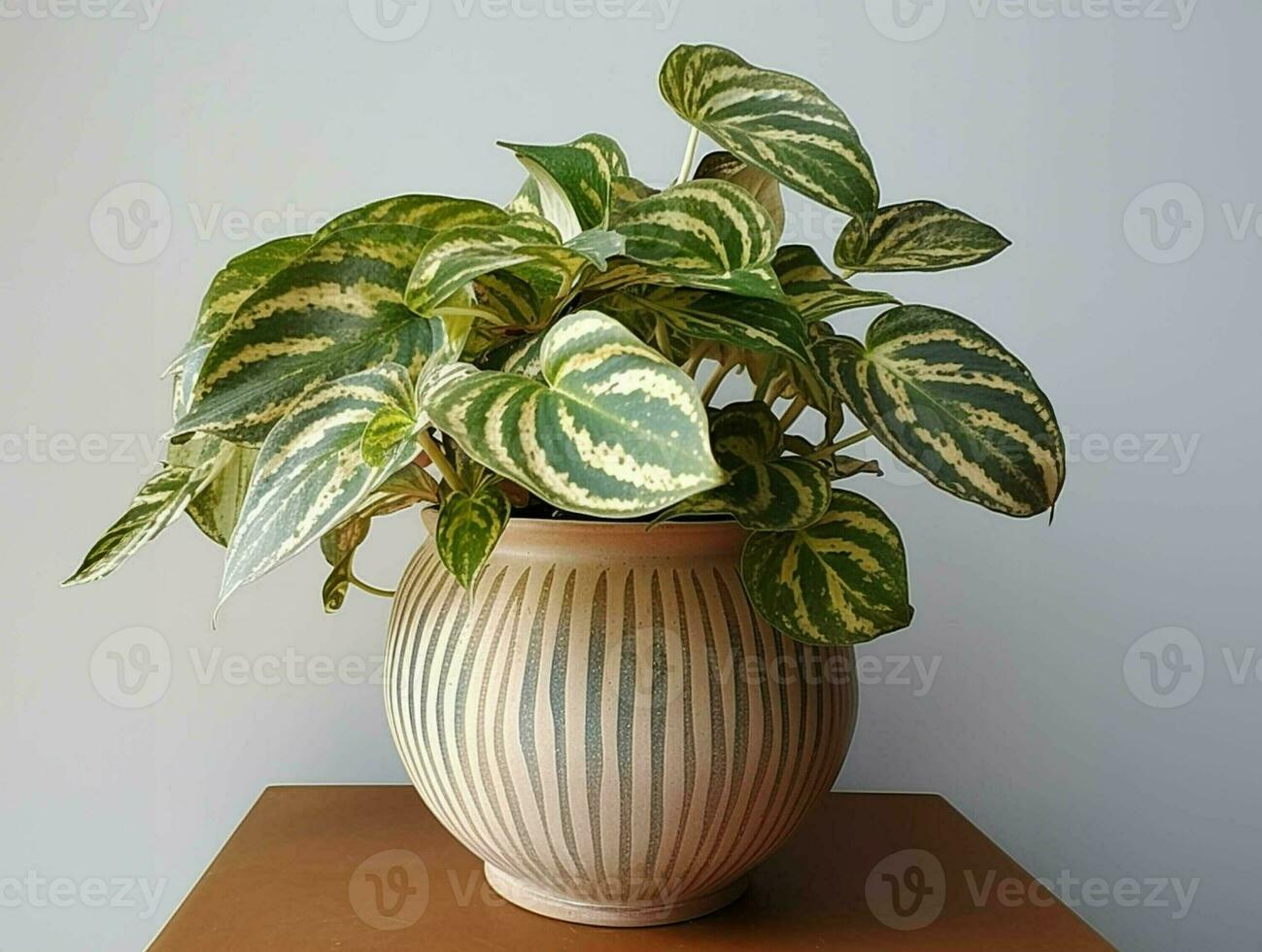 green plant in the pot on table. generative ai. photo