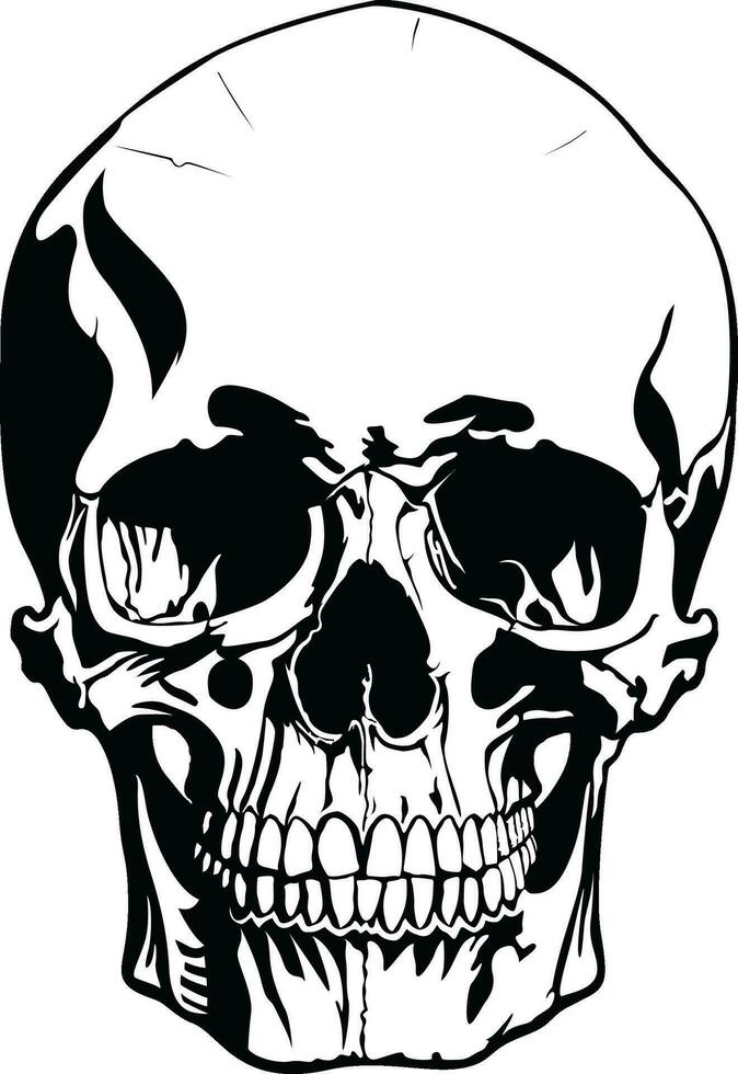 Black and white human skull vector