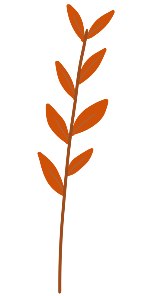 A Tree leaf orange color tone png