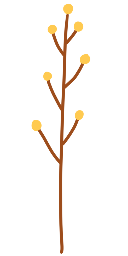A Tree leaf orange color tone png