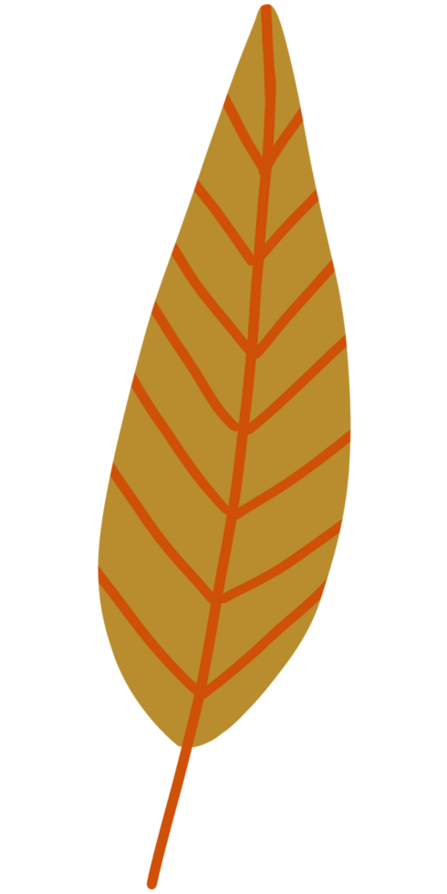 A Tree leaf orange color tone png