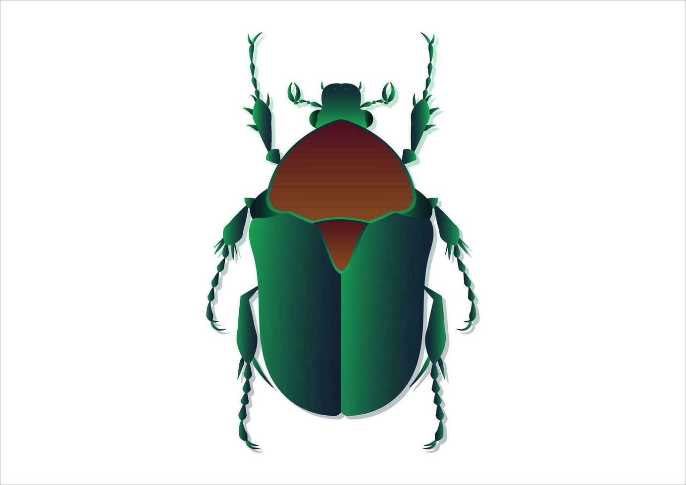 Protaetia Beetle Vector Art Isolated on White Background