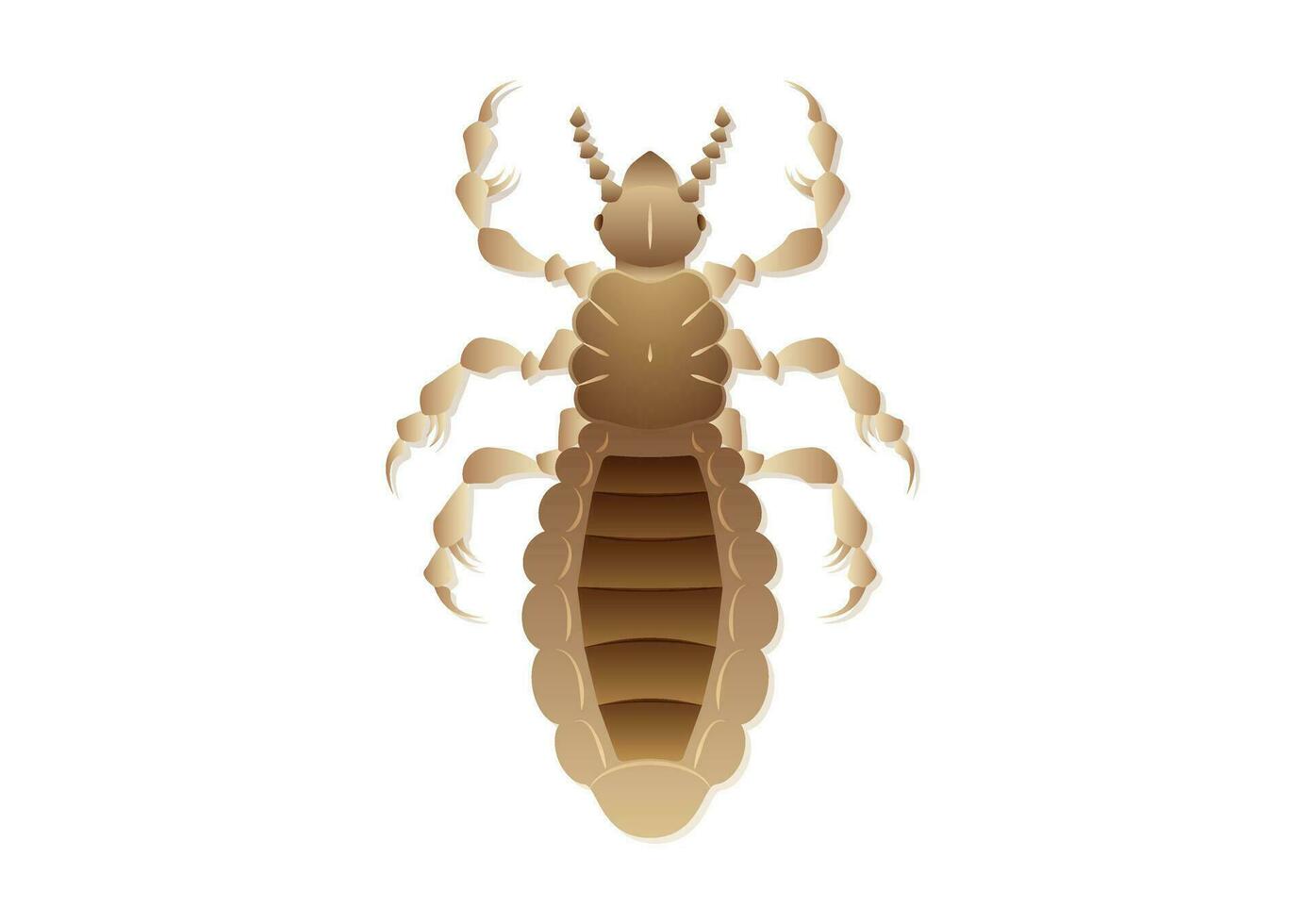 piojo insecto vector Arte aislado en blanco antecedentes