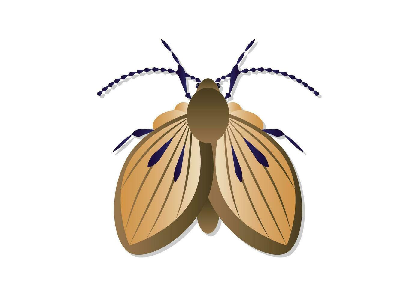 Moth Fly Insect Vector Art isolated on White Background