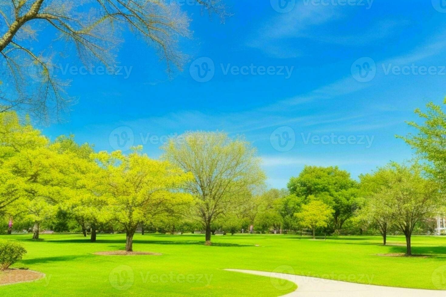 Beautiful landscape park with trees and sun. Colorful foliage in the park. Pro Photo