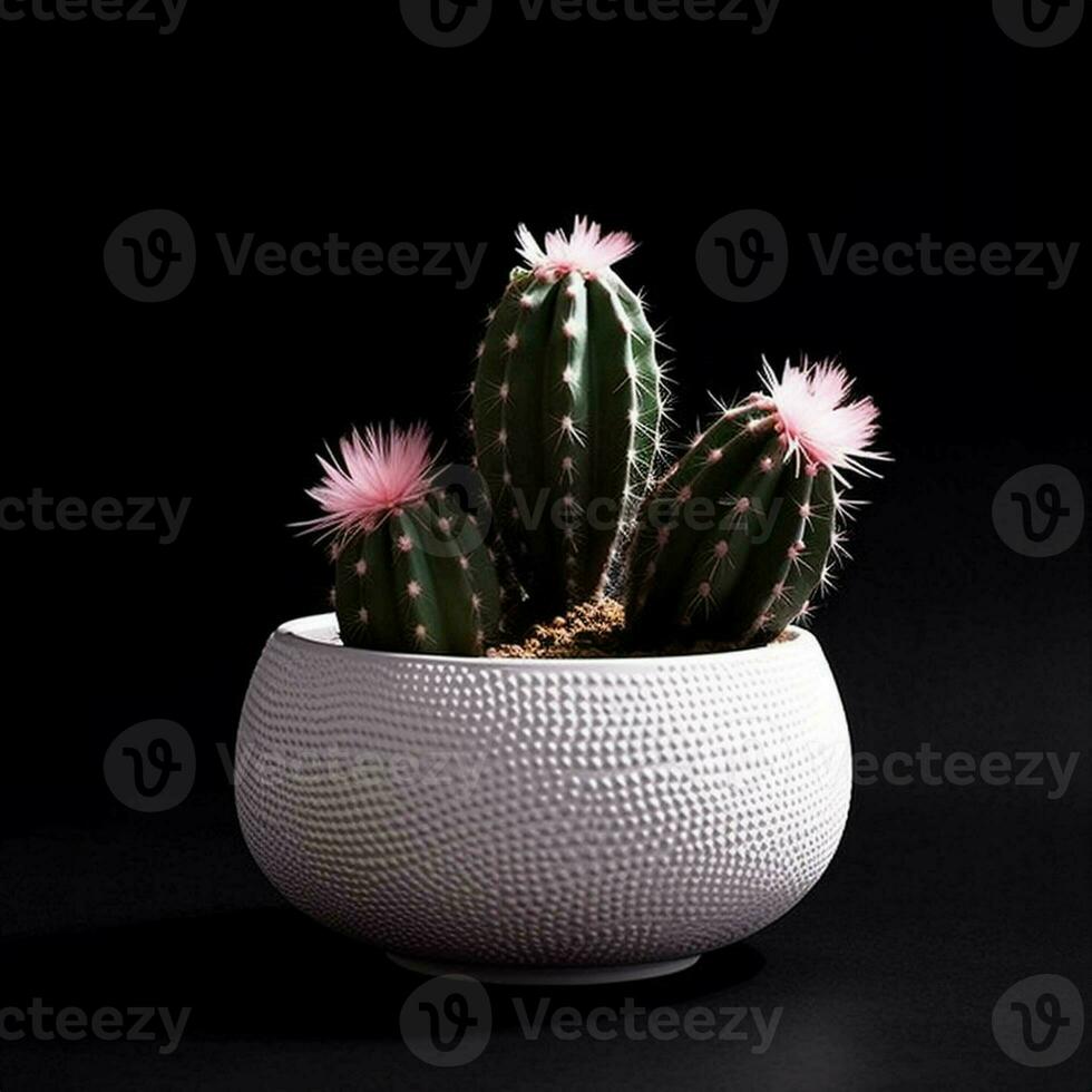 Cactus in a plant pot against a dark black background. generative ai. photo