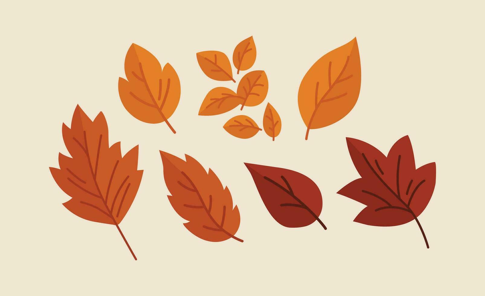 Autumn Leaves Collection Vector Illustration