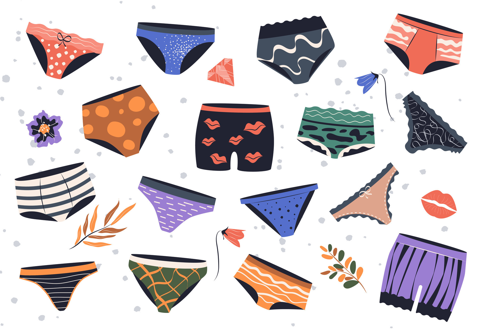 isolated colorful panties for women. Female underwear types, wardrobe  lingerie and underpants models. Vector set. Various collection of bikini,  tanga, cheeky brief, hipster and thong. 29151729 Vector Art at Vecteezy