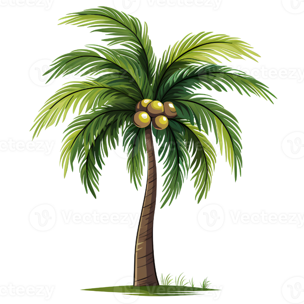 beach coconut tree ai generate png