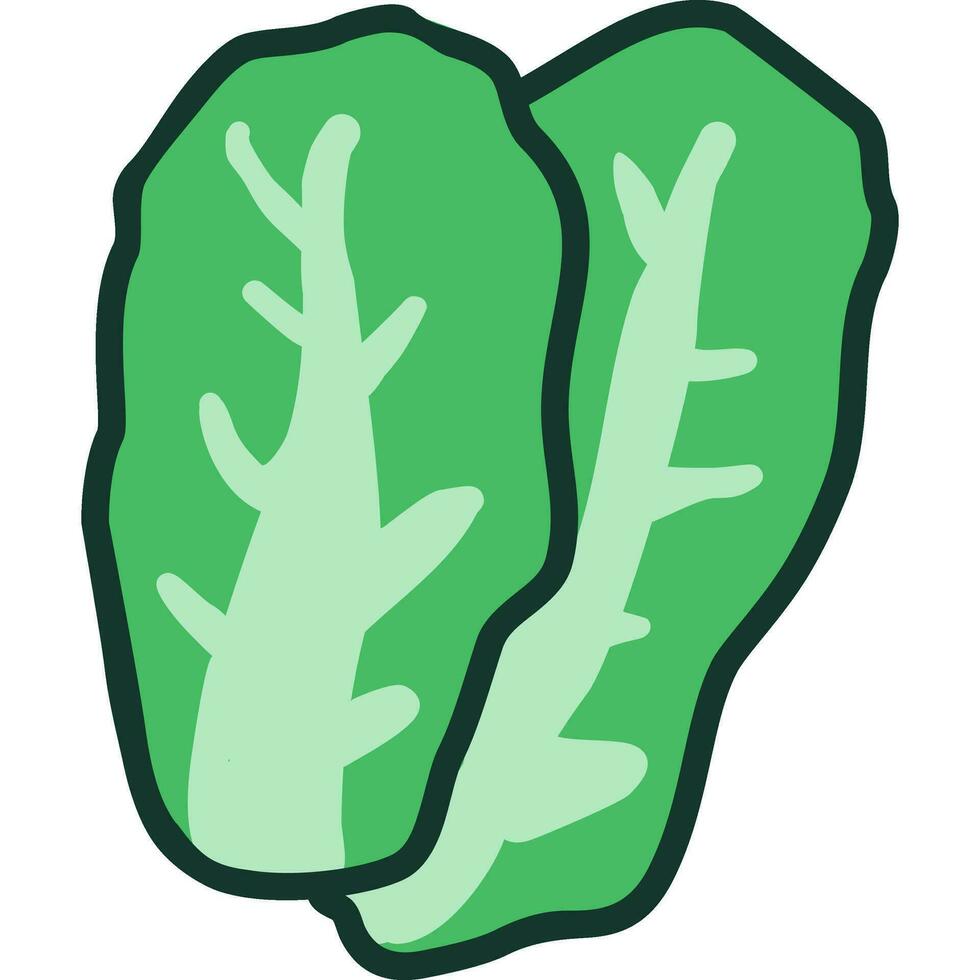 Chinese cabbage cartoon in icon style. vector
