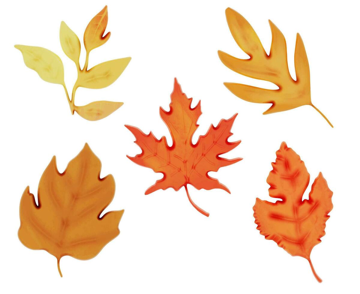 Autumn 3d on transparent background png vector