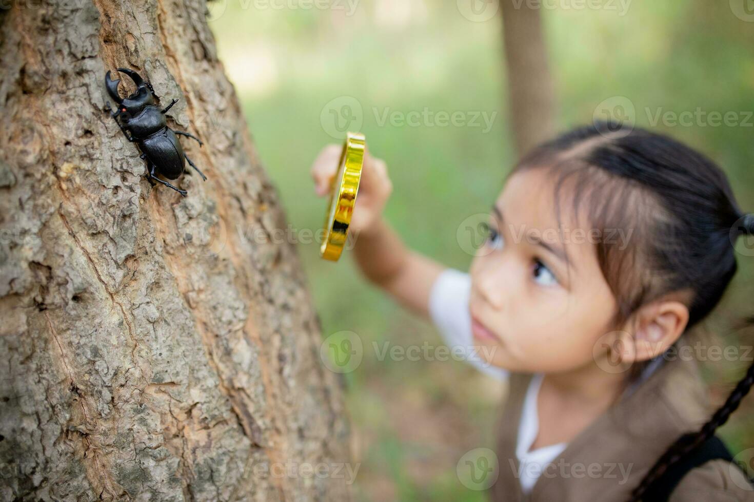 A little Asian girl using a magnifier to study a stag beetle in a park. photo