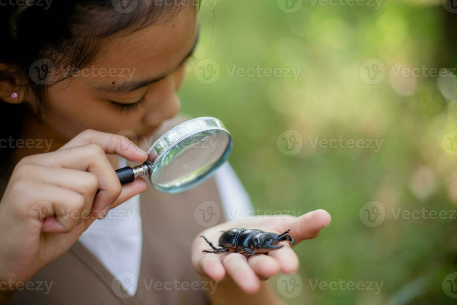 A little Asian girl using a magnifier to study a stag beetle in a park. photo