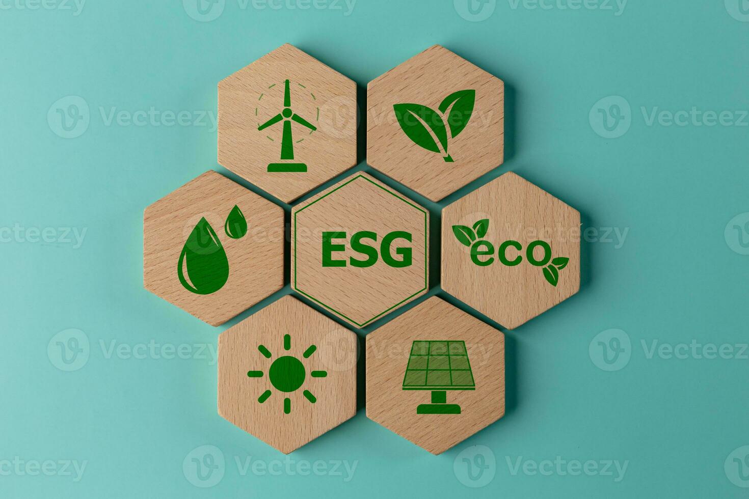 ESG concept of environmental. ESG or environmental social governance. The company developed a nature conservation strategy, green energy, clean energy photo