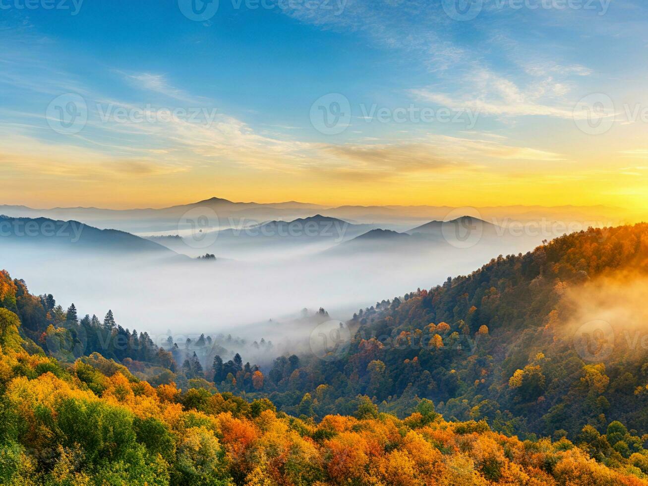 landscape Black Forest Germany photo