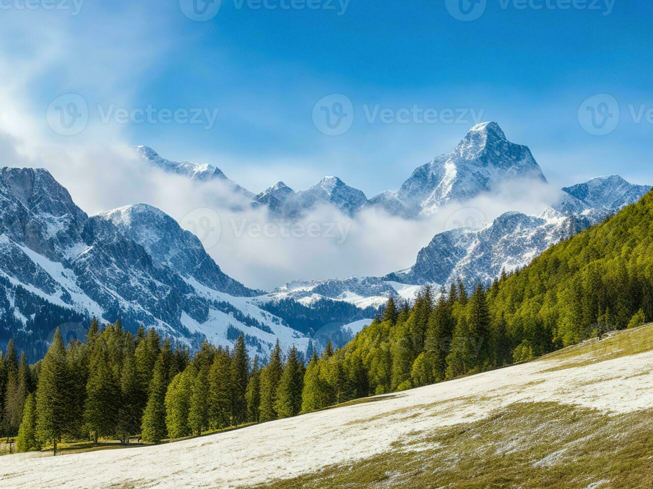 Capped mountains in the snow with alpine meadows photo