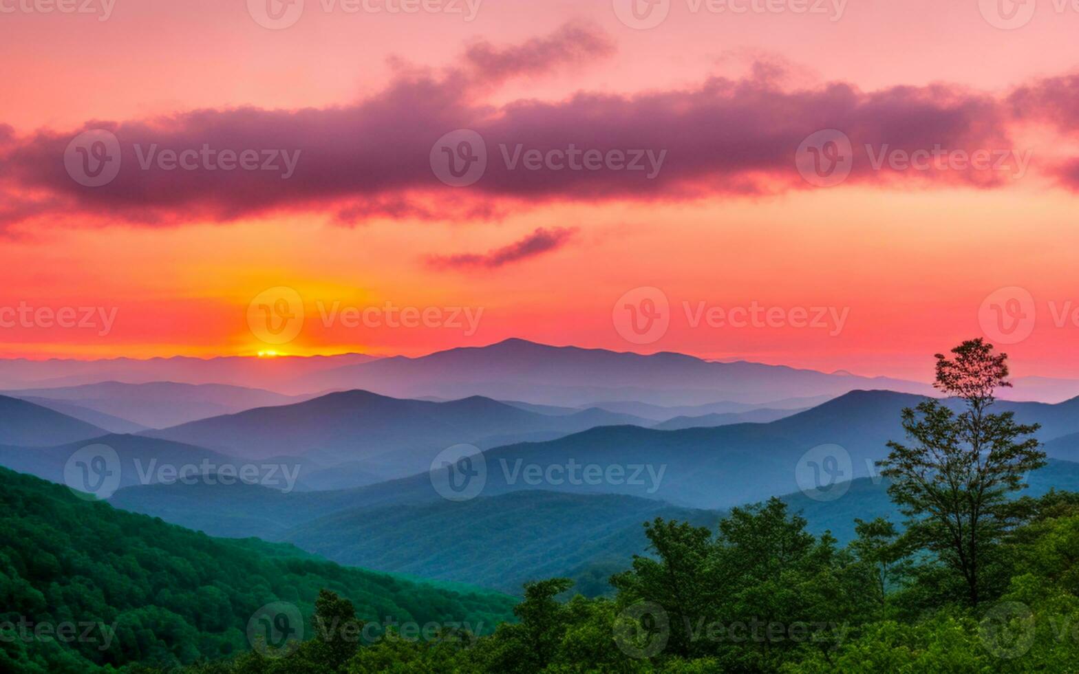 Parque Nacional Great Smoky Mountains foto