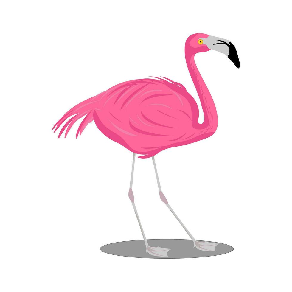 Pink flamingo - bird vector