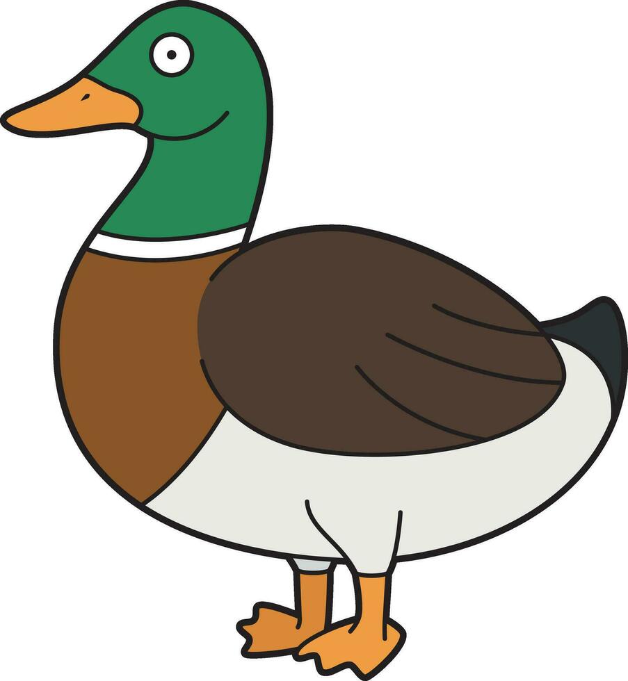 Cute cartoon vector illustration of a brown and green duck