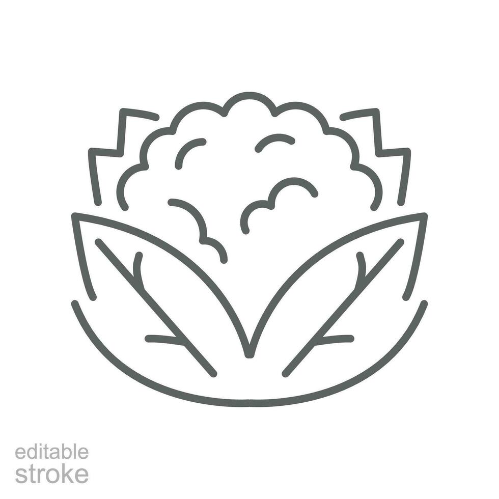 cauliflower icon. Organic Vegetables logo Cabbage. vegetable and diet from the garden. Organic healthy food. Outline style. Editable stroke vector illustration design on white background. EPS 10