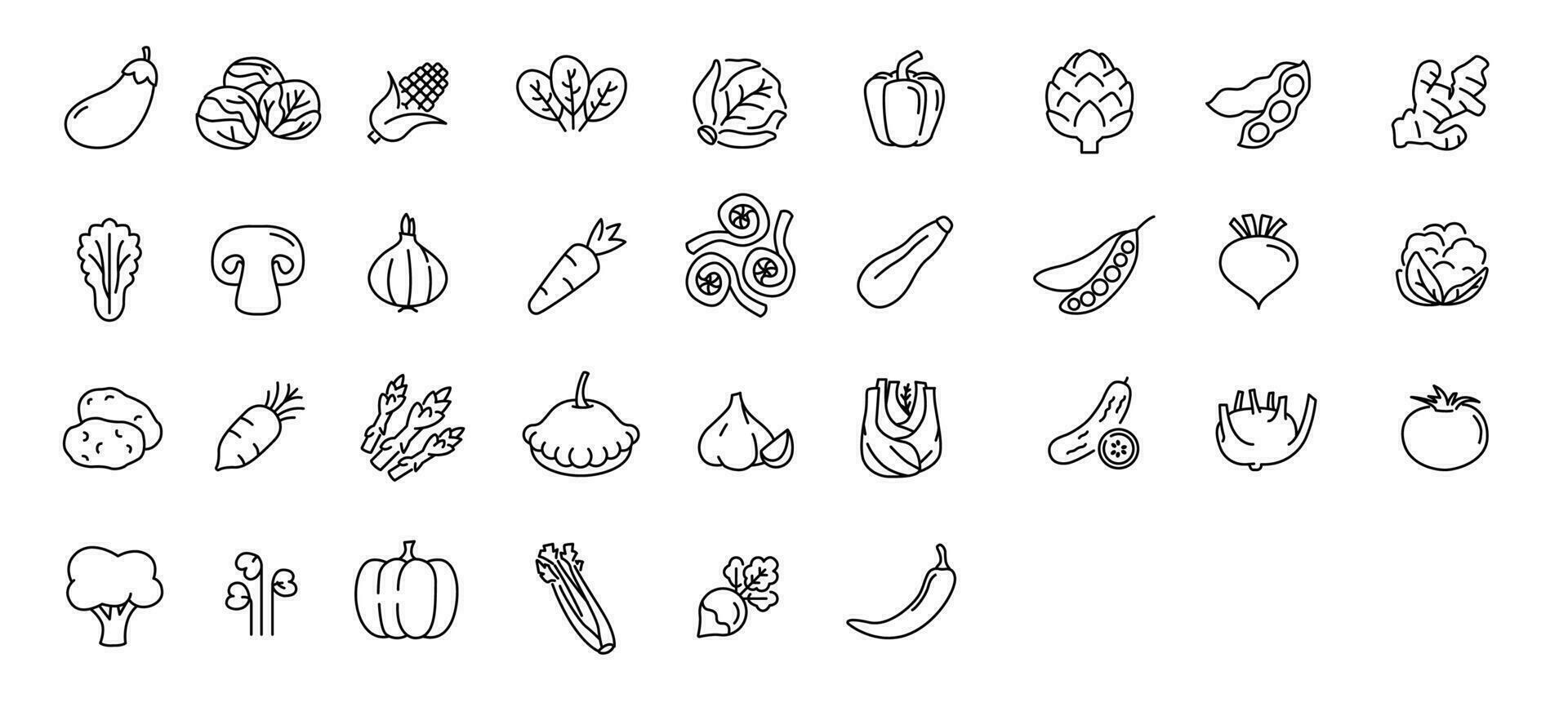 Vegetable icon set. Minimal thin line style. Outline icons collection vegetables zucchini, tomato, radish, mushroom, ginger, broccoli, corn daikon Vector illustration Design on white background EPS 10