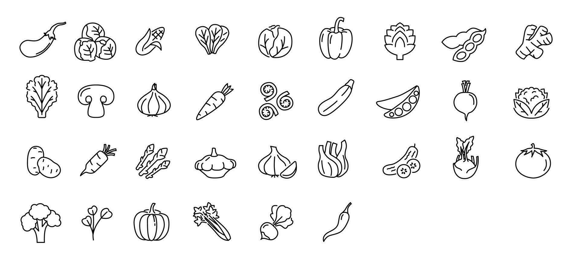 Vegetable icon set. Minimal thin line style. Outline icons collection vegetables eggplant, tomato, radish, mushroom, ginger, broccoli, corn daikon Vector illustration Design on white background EPS 10