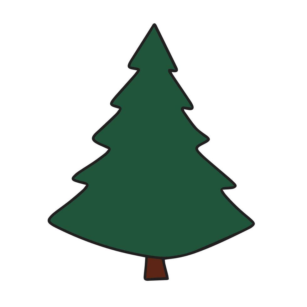Spruce colored outline. Hand drawn pine tree, fir tree isolated on white background. Vector illustration.