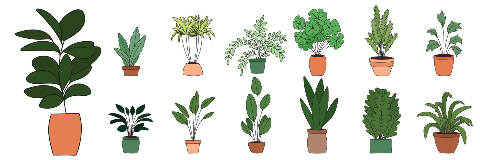 conjunto de plantas de interior de colores describir. mano dibujado planta de casa. vector ilustración.
