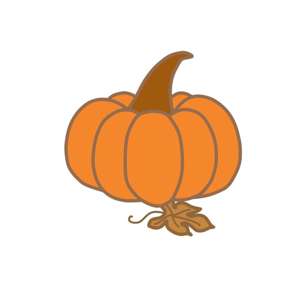 Fall Pumpkin Illustration Vector Image