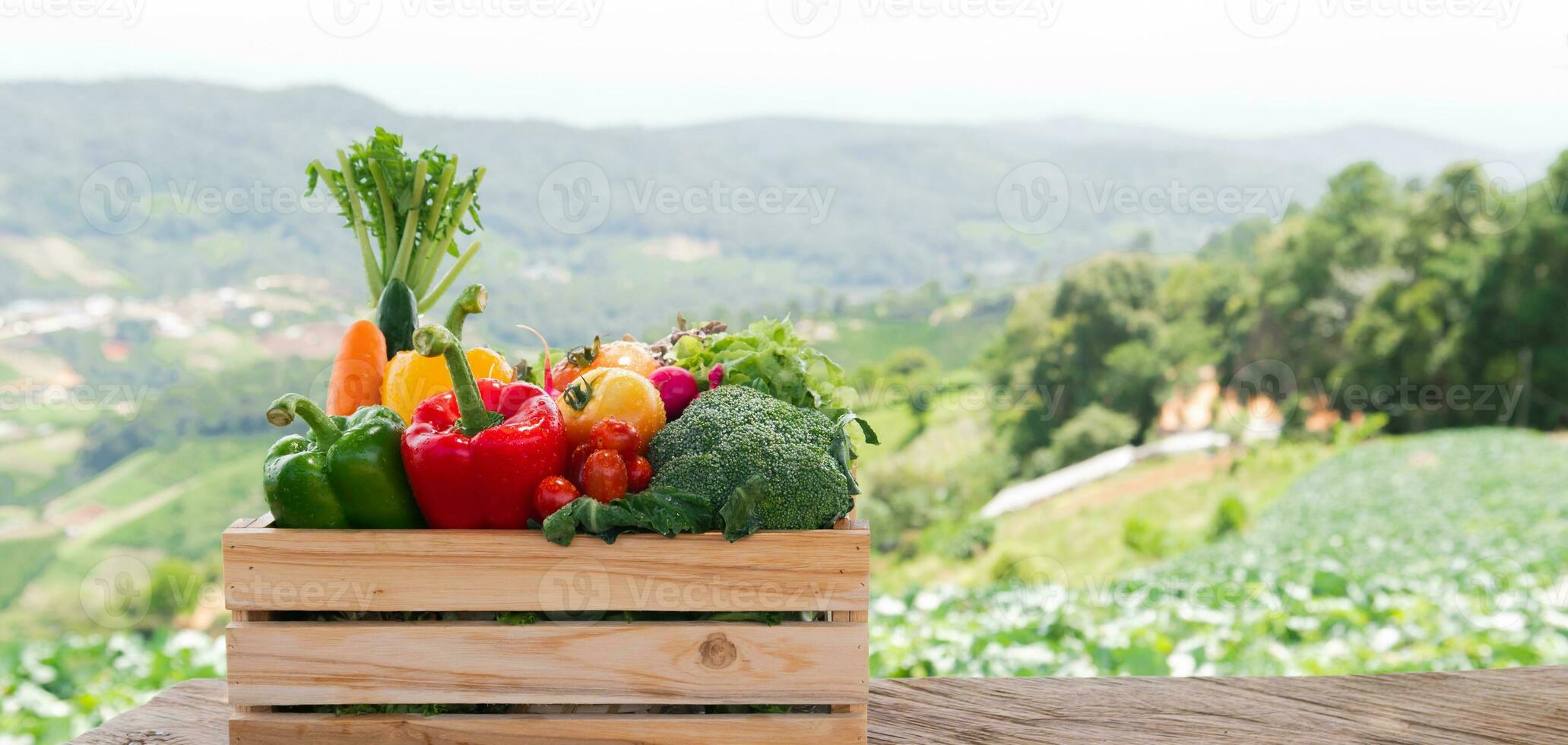 Wooden crate filled with fresh organic vegetables photo