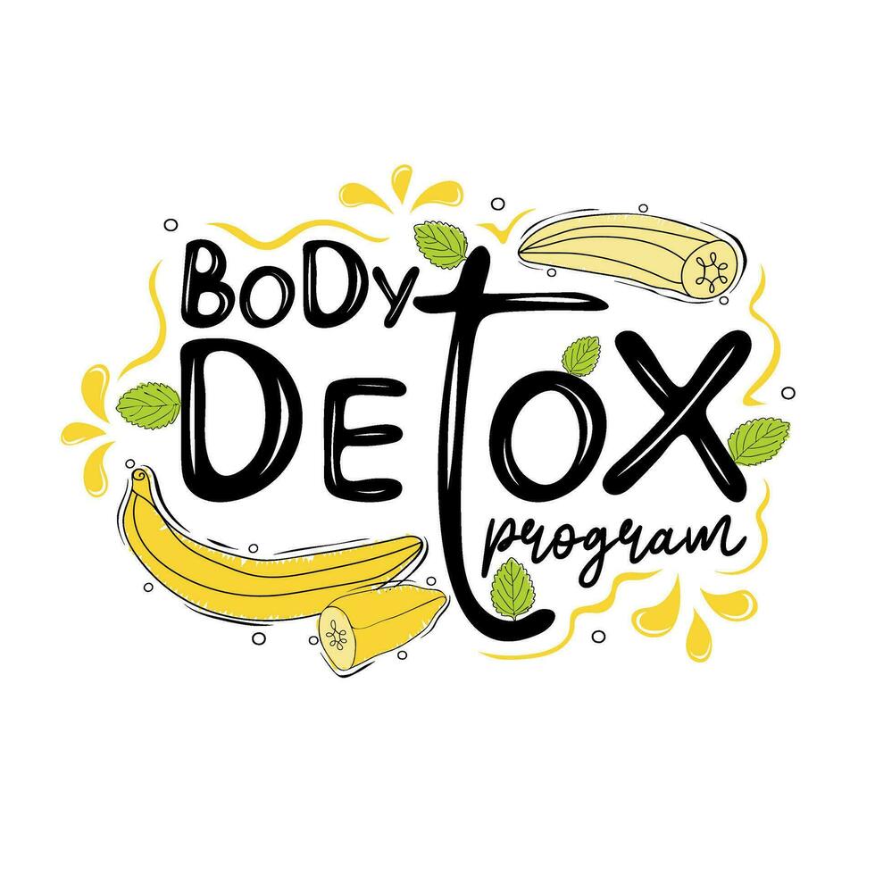 cuerpo desintoxicación programa texto con bananas y menta hojas vector