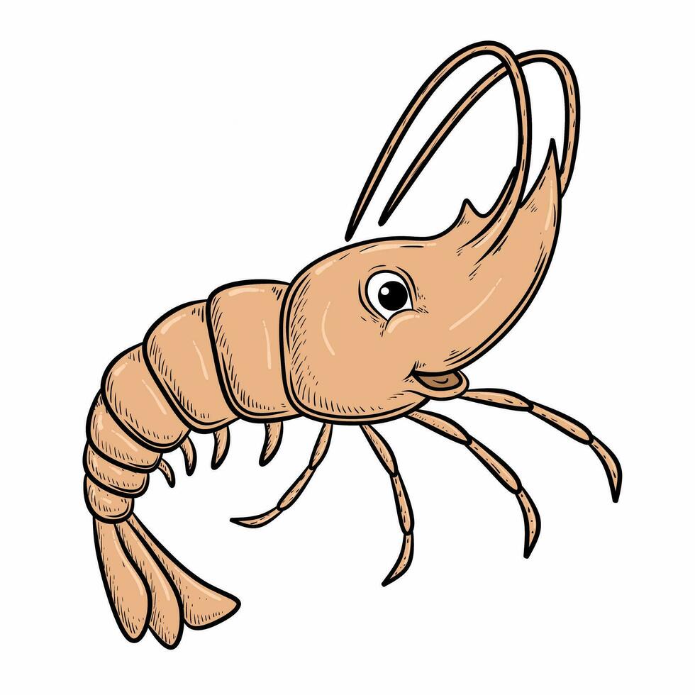 cartoon illustration of shrimp isolated vector