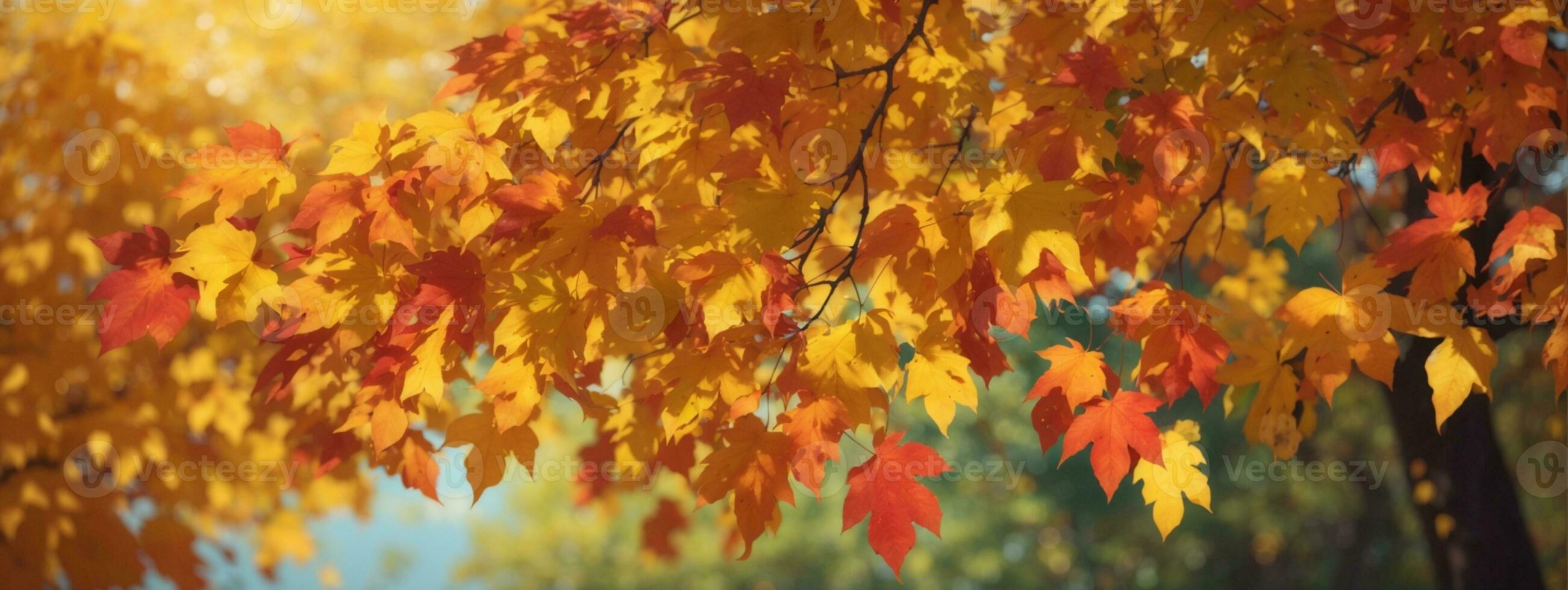 Autumn colorful bright leaves swinging in a tree in autumnal park. Autumn colorful background, fall backdrop. AI generated photo