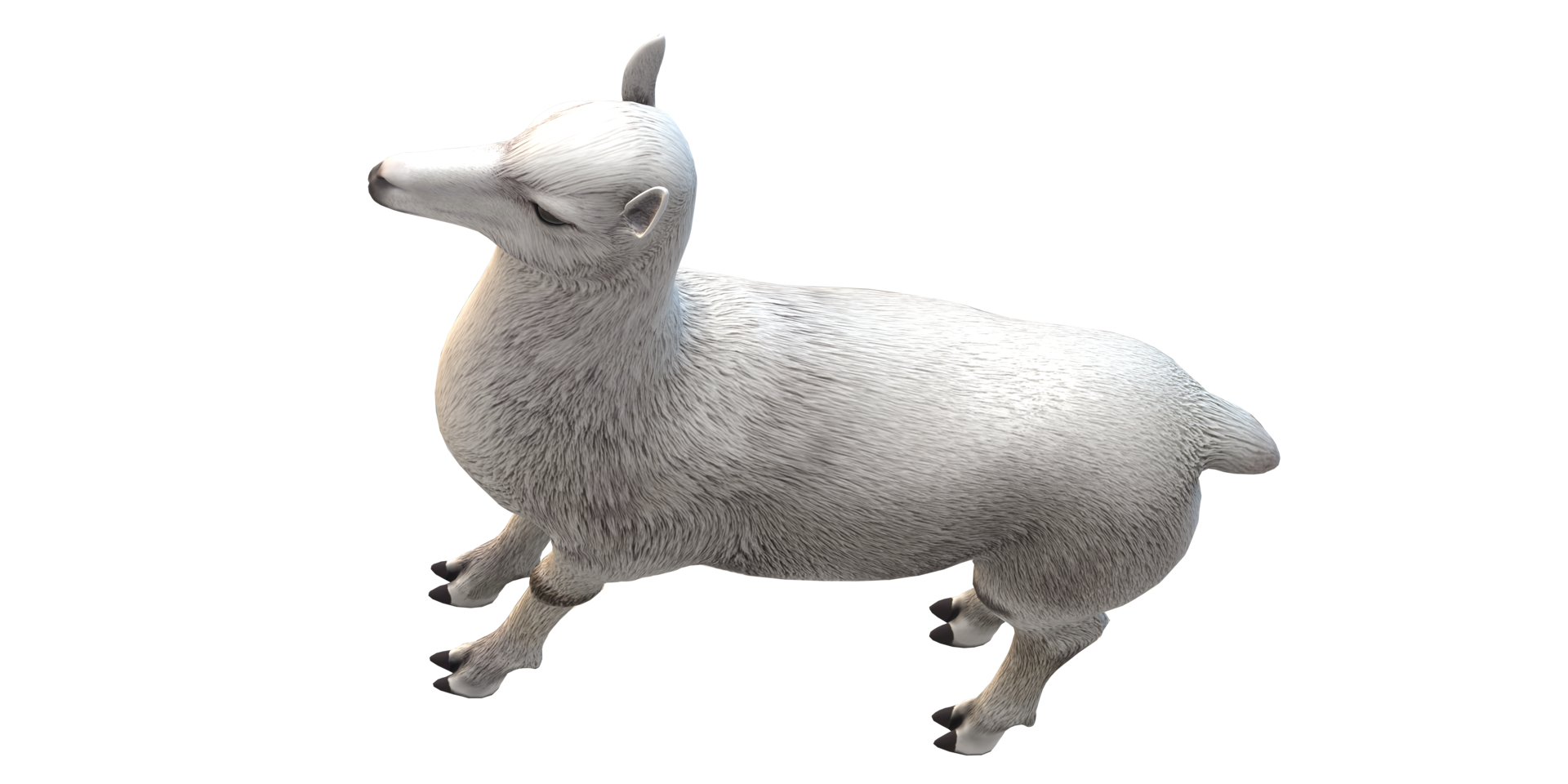 Alpaca isolated on a Transparent Background png