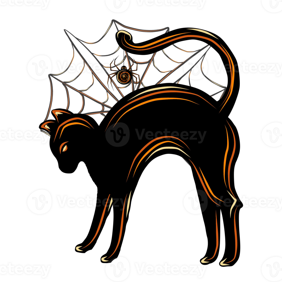 Witch's cat black with spider and web. PNG illustration for Halloween