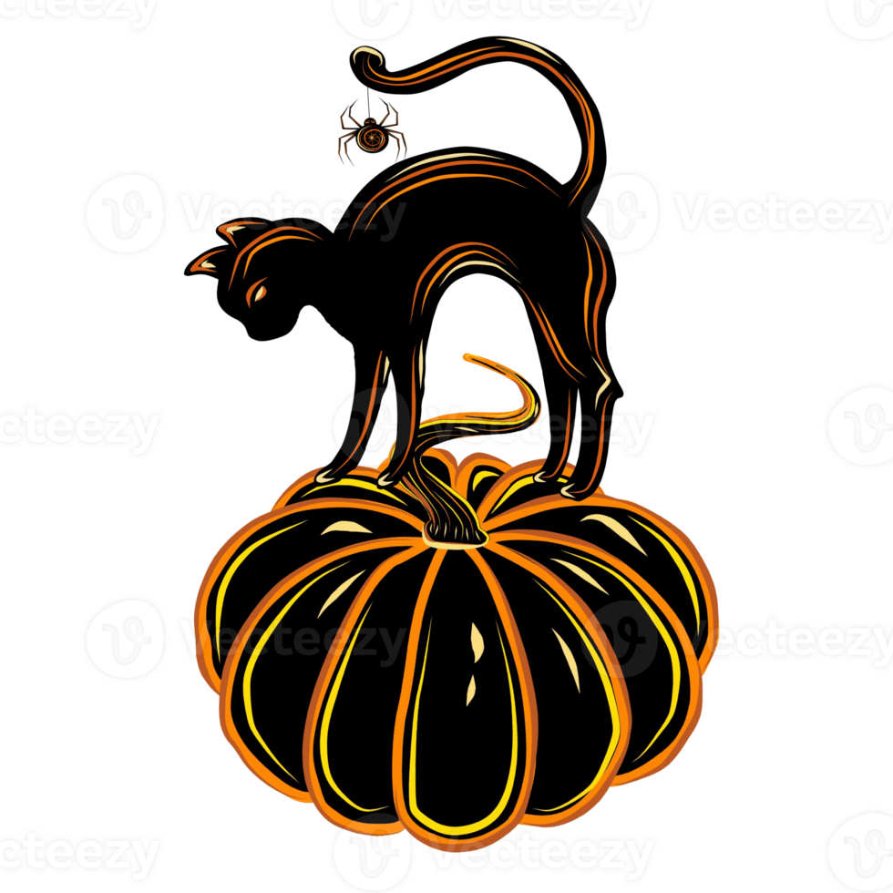 Witch's cat black with spider and web on the pumpkin. PNG illustration for Halloween