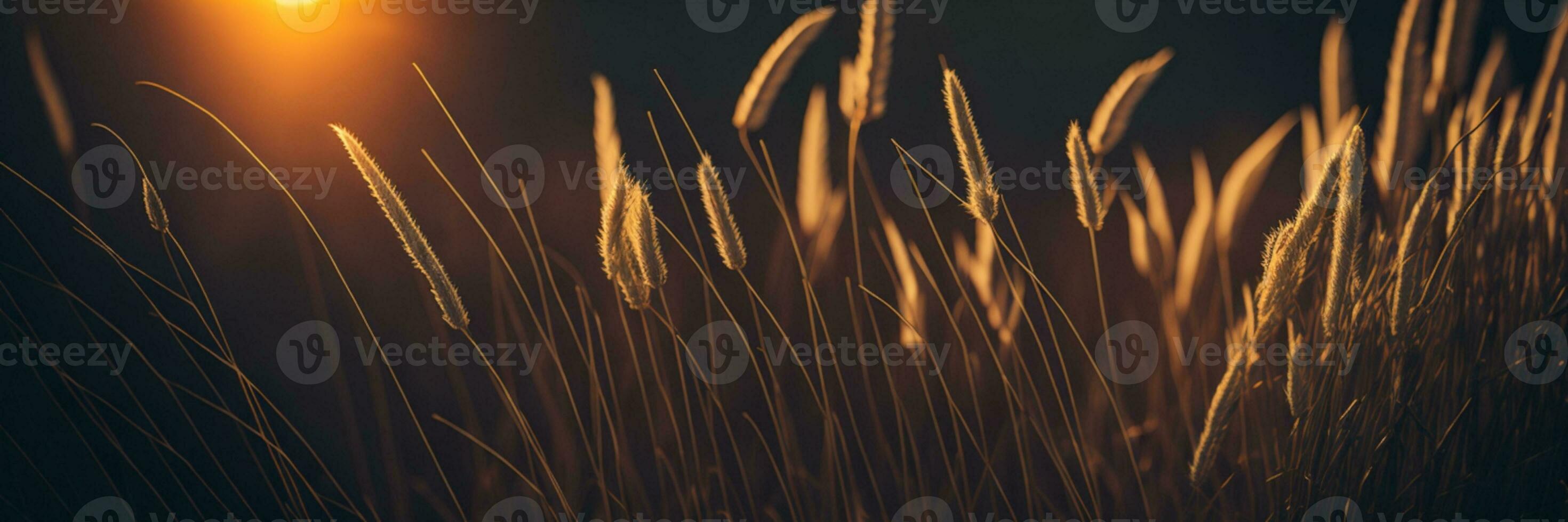 salvaje césped en el bosque a puesta de sol. macro imagen, superficial profundidad de campo. resumen verano naturaleza antecedentes. Clásico filtrar. ai generado foto