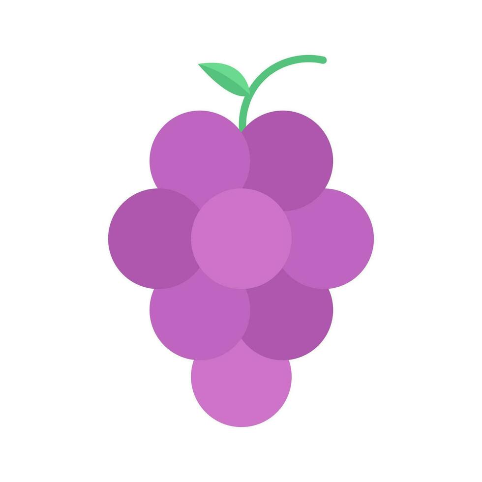 Grape icon vector, flat design illustration vector