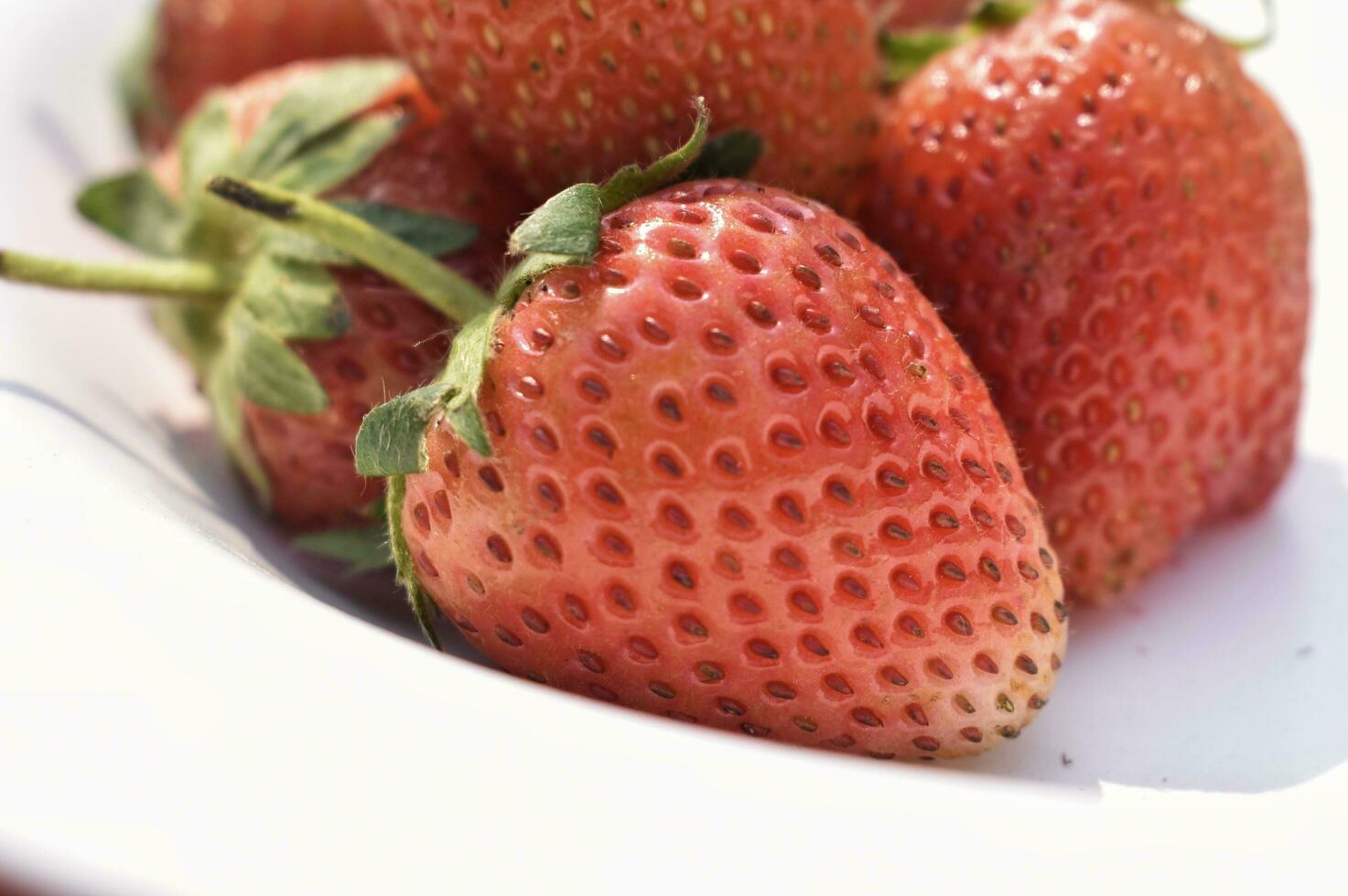 Strawberry in a white plate. photo