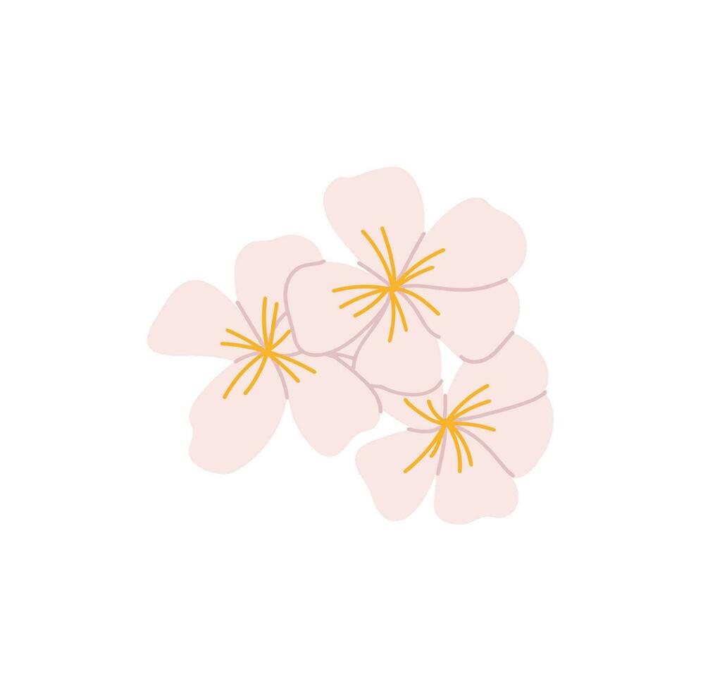 Jasmine flower vector 29164623 Vector Art at Vecteezy