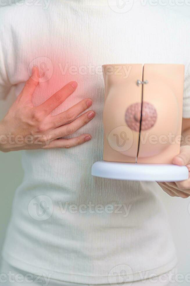 Woman holding Chest pain with Breast Anatomy model. Breast Augmentation Surgery, October Breast Cancer Awareness month, checking, Diagnosis, Beauty woman enlargement, Disease and medical concept photo