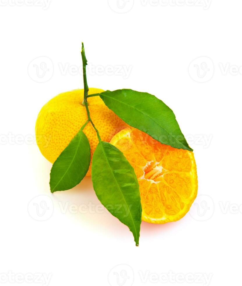 Fresh oranges isolated photo