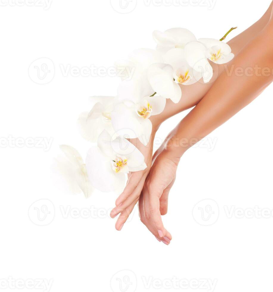 hembra manos con orquídea flores foto