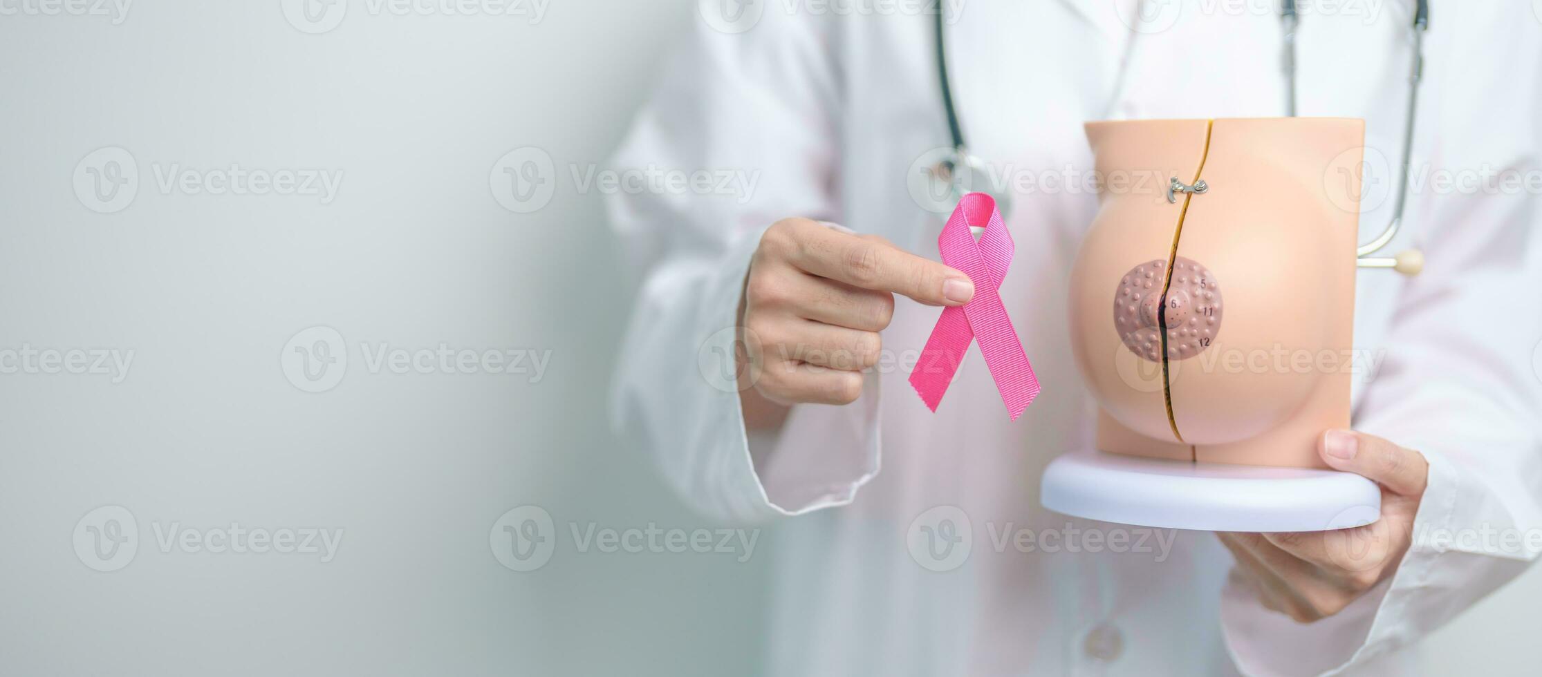 Pink October Breast Cancer Awareness month, doctor woman with pink Ribbon and Breast Anatomy model. National cancer survivors month, health diagnosis, Mother and World cancer day concept photo