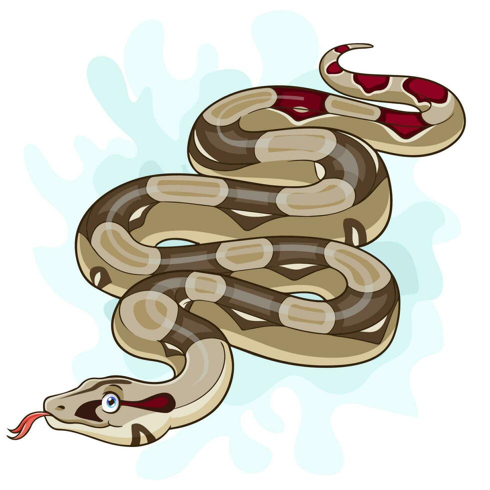 dibujos animados boa constrictor serpiente aislado en blanco antecedentes vector