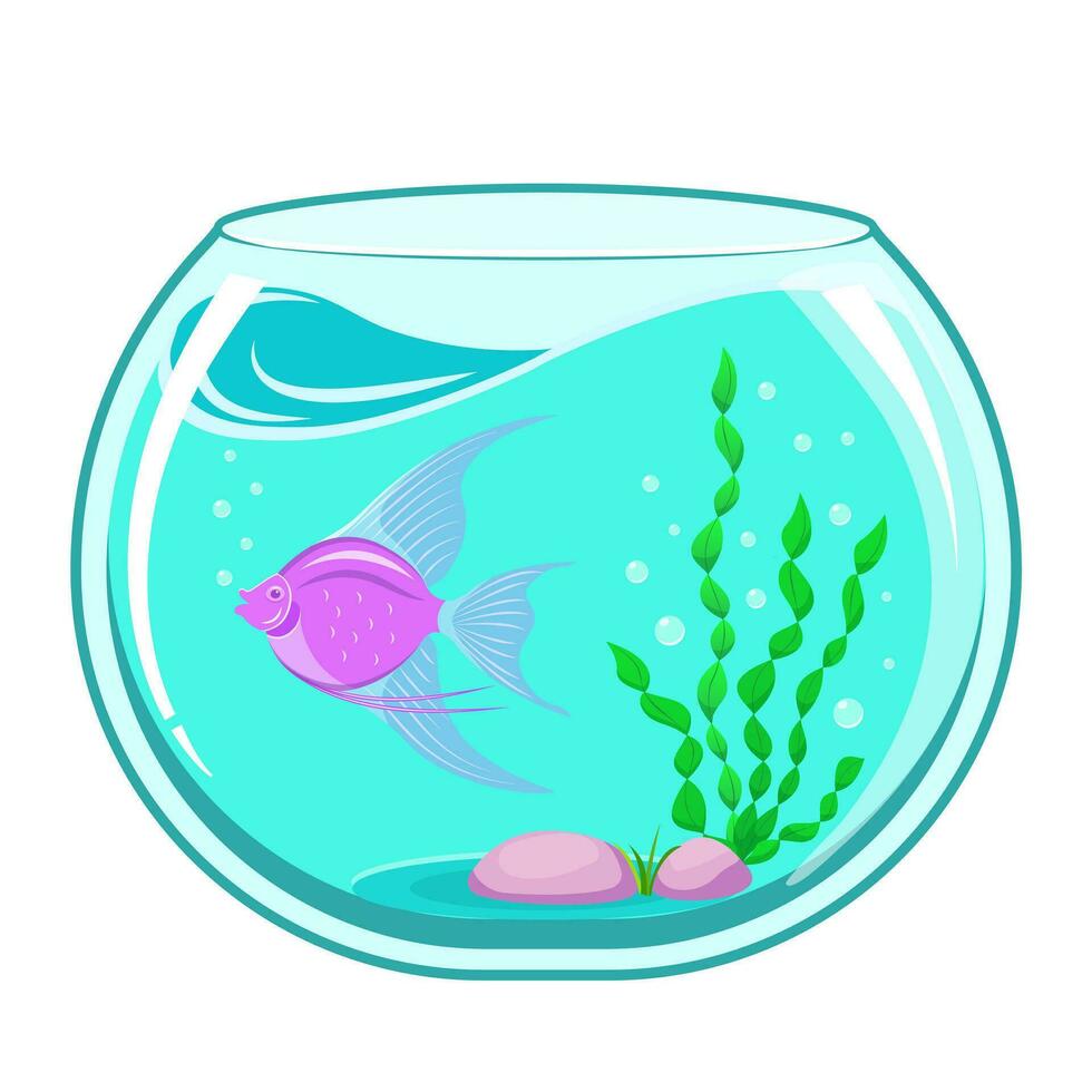 acuario con pez. pecera aislado en blanco antecedentes. vector